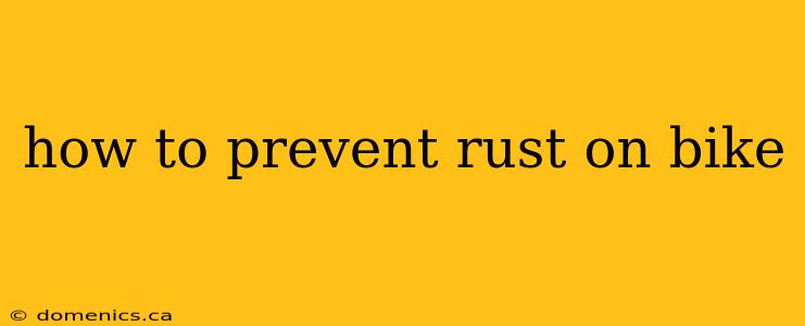 how to prevent rust on bike