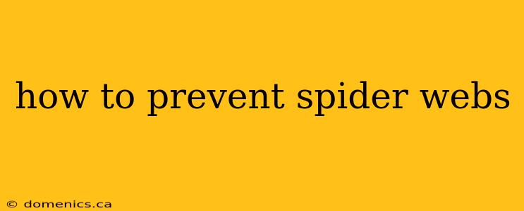 how to prevent spider webs