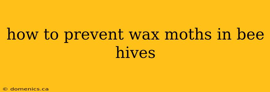 how to prevent wax moths in bee hives