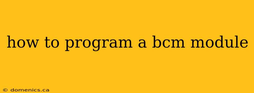 how to program a bcm module