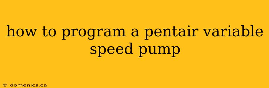 how to program a pentair variable speed pump