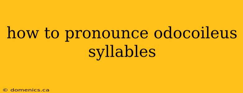 how to pronounce odocoileus syllables