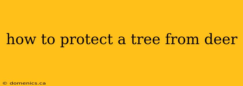 how to protect a tree from deer