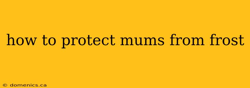 how to protect mums from frost