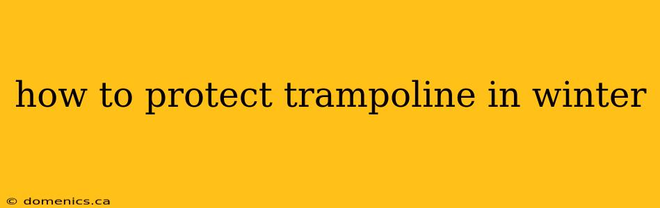 how to protect trampoline in winter