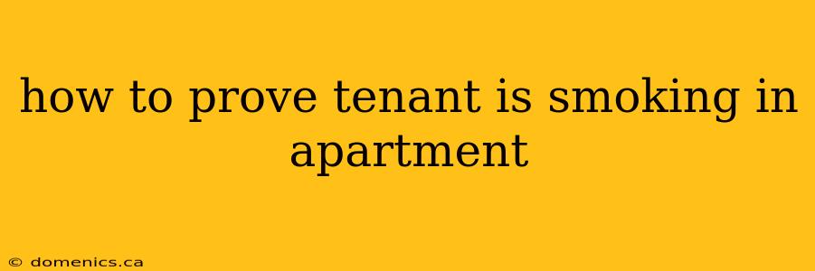 how to prove tenant is smoking in apartment