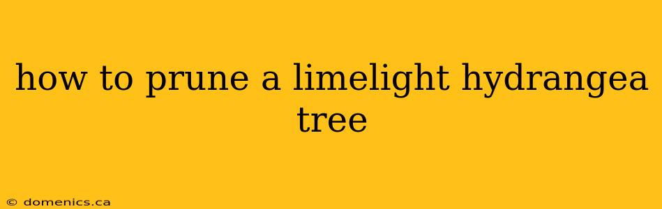 how to prune a limelight hydrangea tree