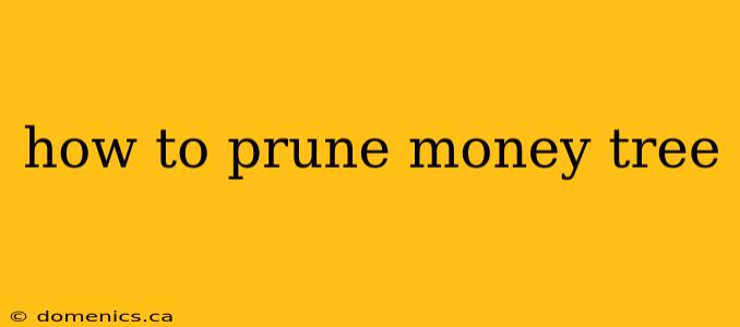 how to prune money tree