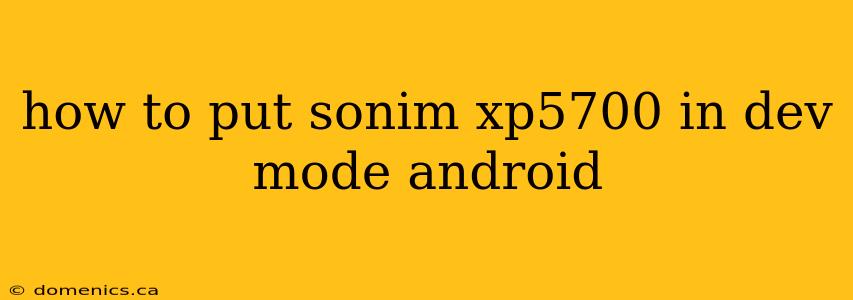 how to put sonim xp5700 in dev mode android