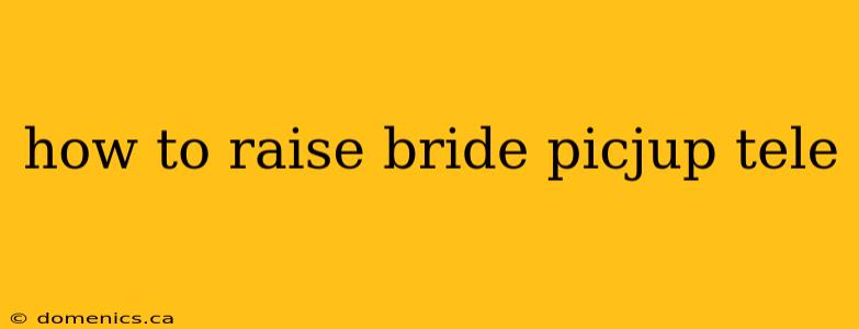 how to raise bride picjup tele