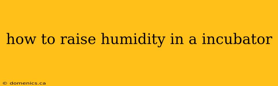 how to raise humidity in a incubator