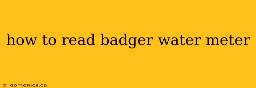 how to read badger water meter