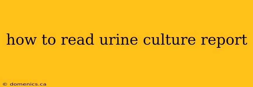 how to read urine culture report