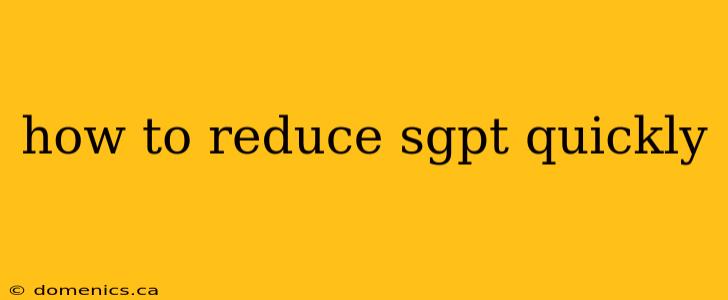 how to reduce sgpt quickly