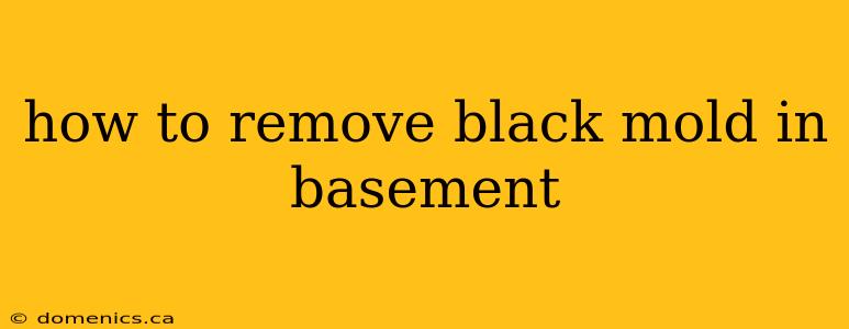 how to remove black mold in basement