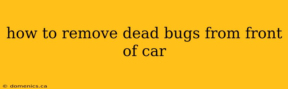 how to remove dead bugs from front of car