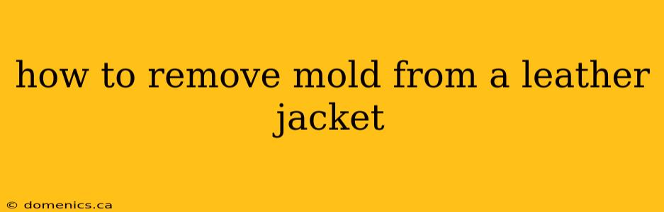 how to remove mold from a leather jacket