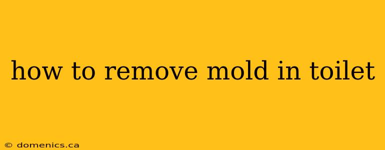 how to remove mold in toilet