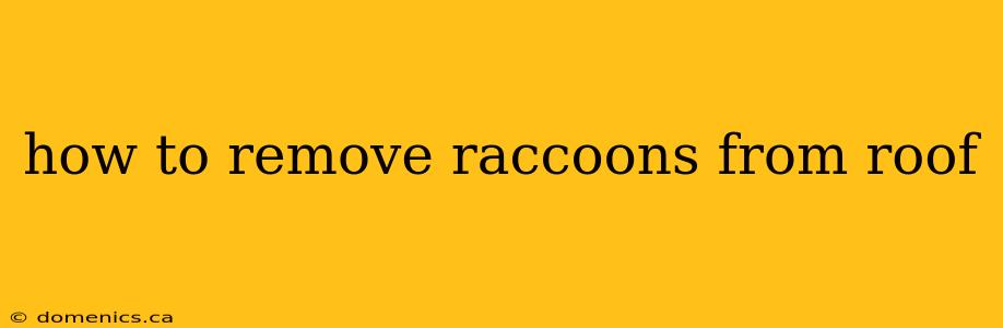 how to remove raccoons from roof