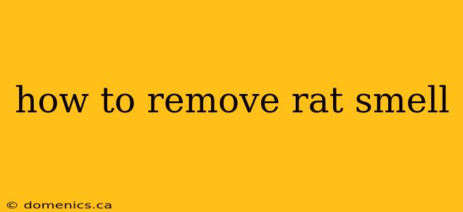 how to remove rat smell