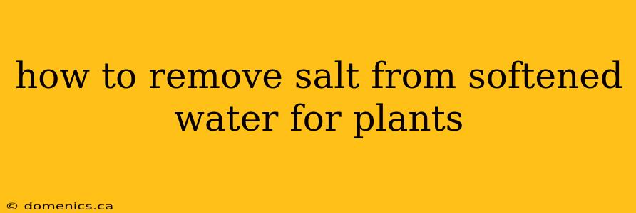 how to remove salt from softened water for plants