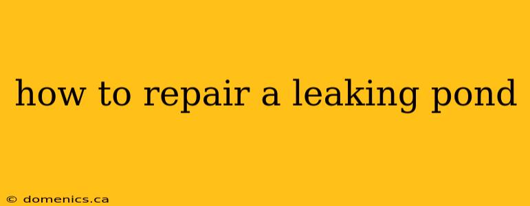 how to repair a leaking pond