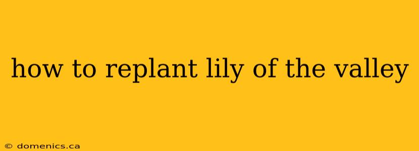 how to replant lily of the valley