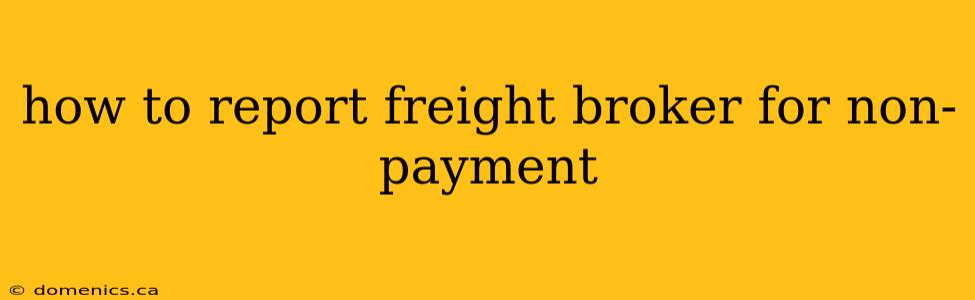 how to report freight broker for non-payment