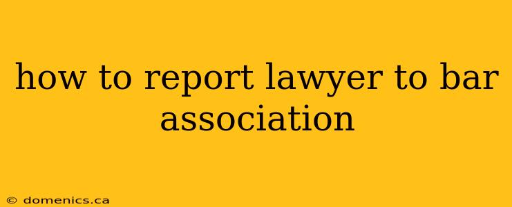 how to report lawyer to bar association