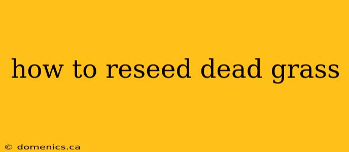 how to reseed dead grass