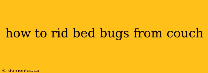 how to rid bed bugs from couch