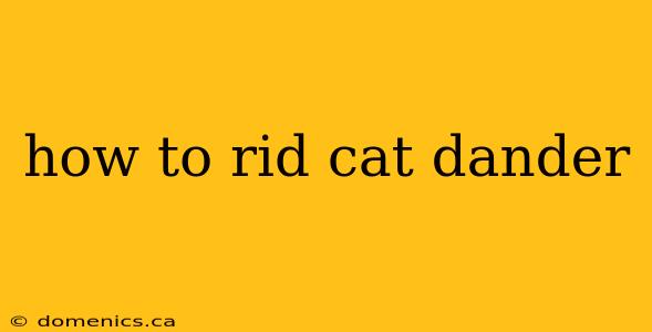 how to rid cat dander