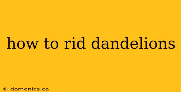 how to rid dandelions