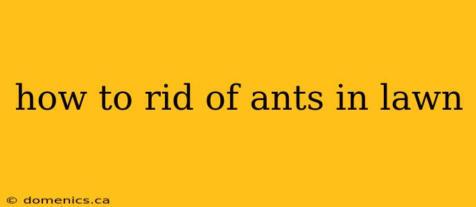 how to rid of ants in lawn