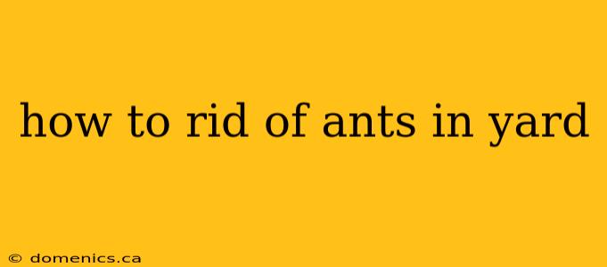 how to rid of ants in yard