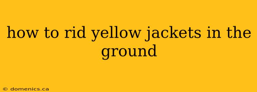 how to rid yellow jackets in the ground