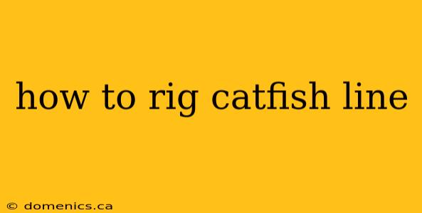 how to rig catfish line