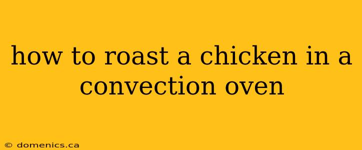 how to roast a chicken in a convection oven