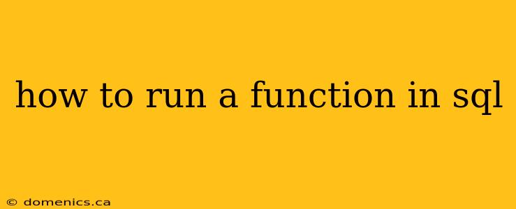 how to run a function in sql