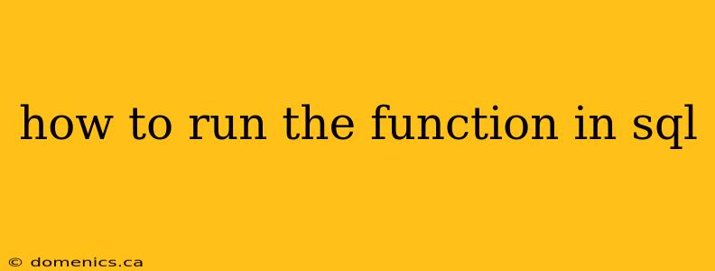 how to run the function in sql