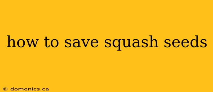 how to save squash seeds