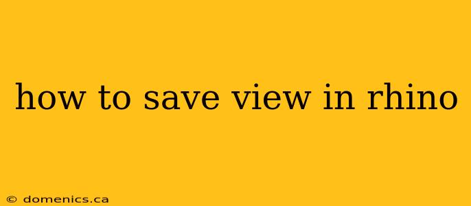 how to save view in rhino