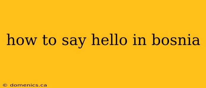 how to say hello in bosnia