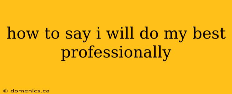 how to say i will do my best professionally