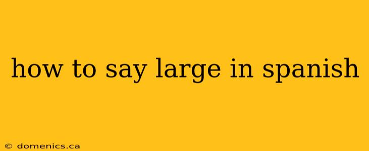 how to say large in spanish