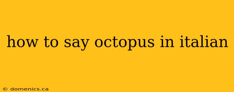 how to say octopus in italian