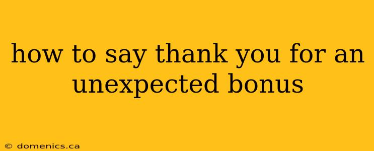 how to say thank you for an unexpected bonus