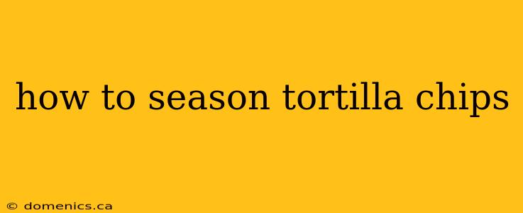 how to season tortilla chips