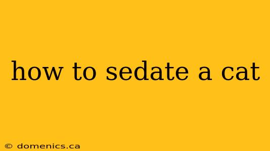 how to sedate a cat