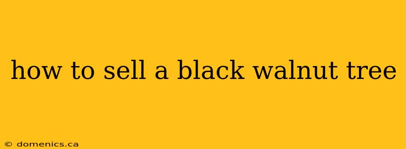 how to sell a black walnut tree